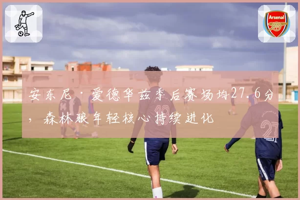 安东尼·爱德华兹季后赛场均27.6分，森林狼年轻核心持续进化