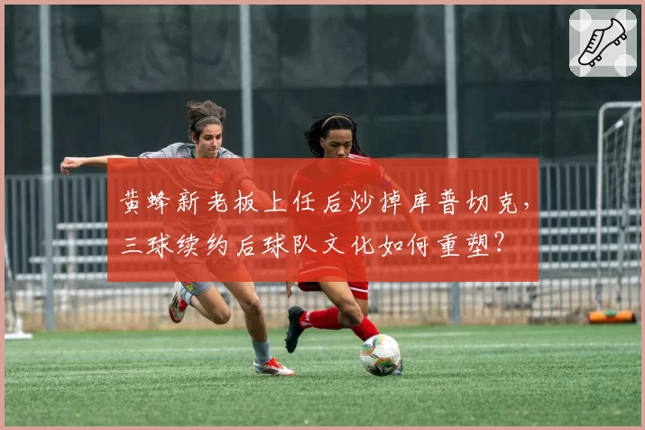 黄蜂新老板上任后炒掉库普切克,三球续约后球队文化如何重塑?